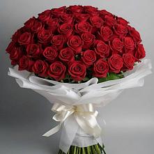 Букет 101 Красная роза Блэк Мэджик в Таежный Красноярского края