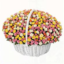 Премиум букет из: Розы #REPLACE_PRED# Таежный Красноярского края