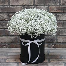 Цветочная композиция из Гипсофила в шляпной коробке в Таежный Красноярского края