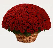 Премиум букет из: Розы в Таежный Красноярского края